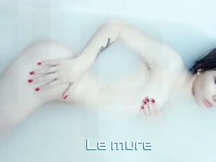 Le_mure