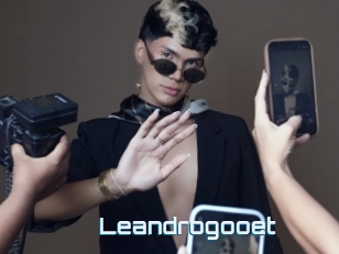 Leandrogooet