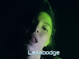 Leilabodge