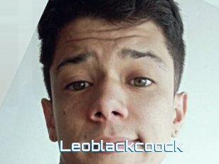 Leoblackcoock