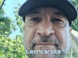 Leoncarpita