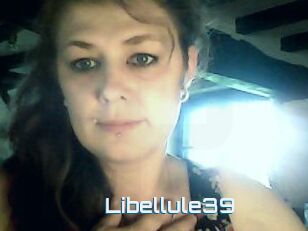 Libellule39