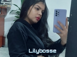 Lilybosse