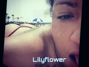 Lilyflower