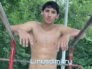 Linusdimitry