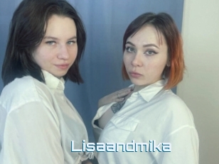 Lisaandmika