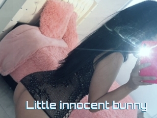 Little_innocent_bunny