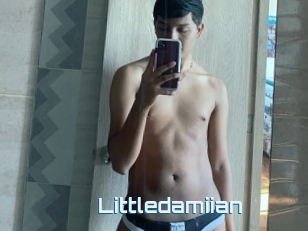 Littledamiian