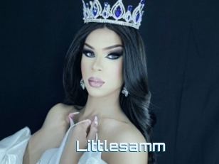 Littlesamm