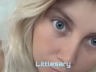 Littlesary