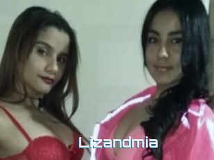 Lizandmia