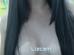 Lizcam