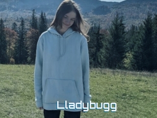 Lladybugg