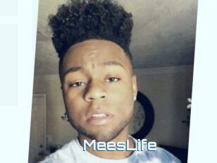 MeesLife