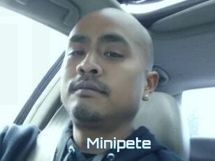 Minipete