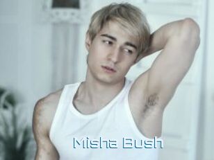 Misha_Bush