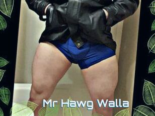 Mr_Hawg_Walla