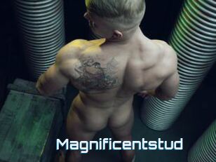 Magnificentstud