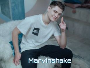 Marvinshake