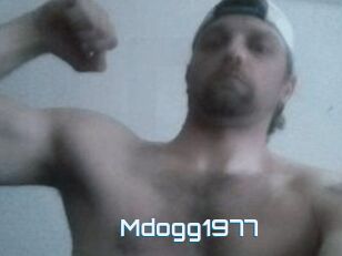 Mdogg1977