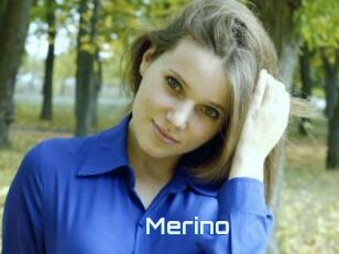 Merino