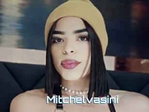 Mitchelvasini