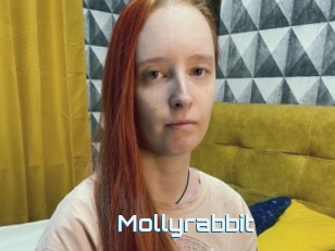 Mollyrabbit