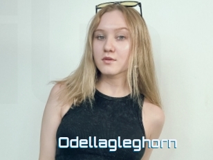 Odellagleghorn