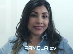 PAMELA_zv