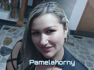 Pamelahorny