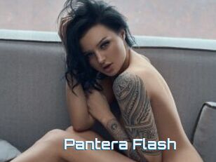 Pantera_Flash