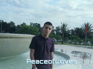 PeaceofLoves