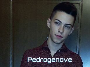 Pedrogenove