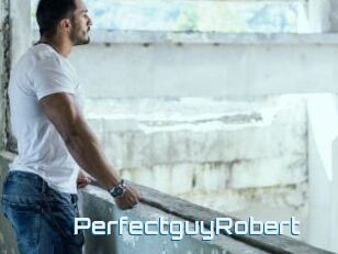 PerfectguyRobert