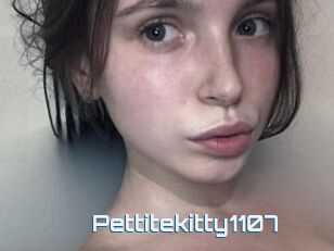 Pettitekitty1107