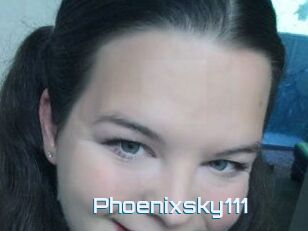 Phoenixsky111