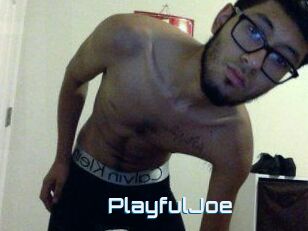 PlayfulJoe