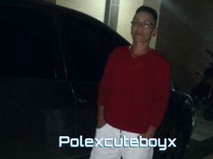 Polexcuteboyx