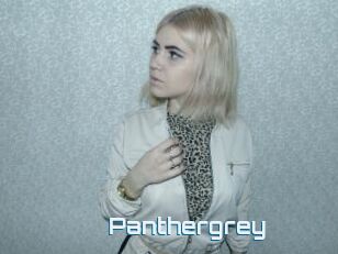 Panthergrey