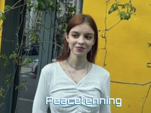 Peacefenning