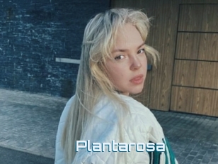 Plantarosa