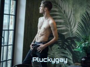 Pluckygay