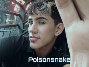 Poisonsnake