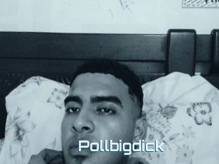 Pollbigdick