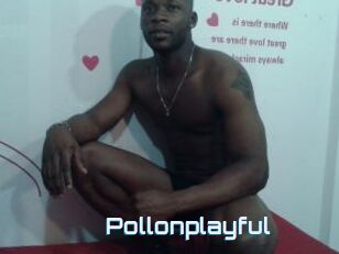 Pollonplayful