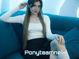 Ponytaamnel