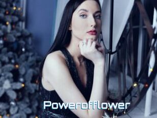 Powerofflower