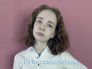 Primrosebisbee