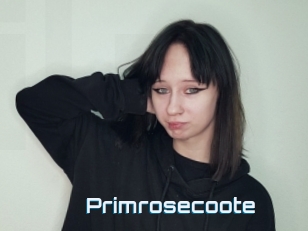 Primrosecoote