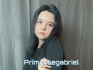 Primrosegabriel